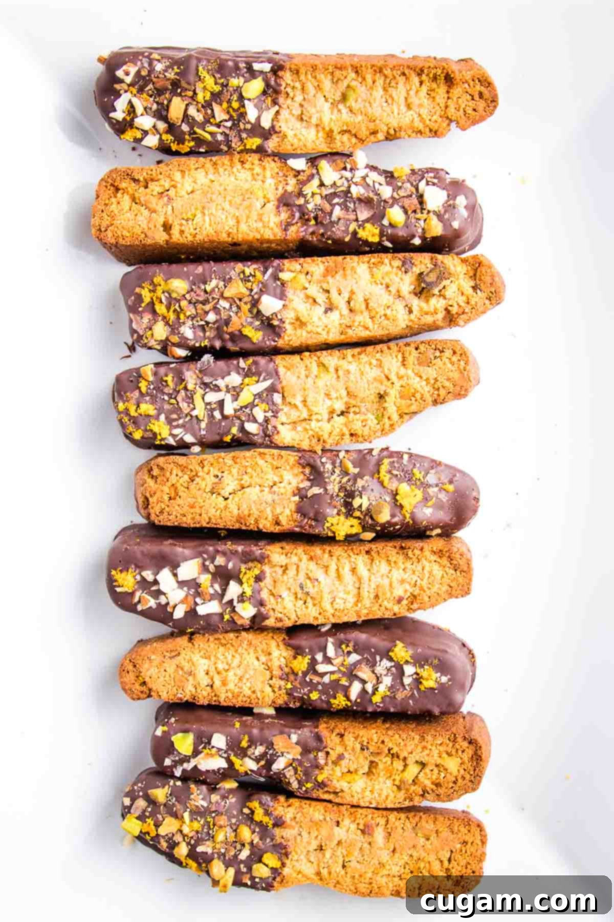 chocolate dipped biscotti sprinkled with nuts and orange zest lined up on a white platter.