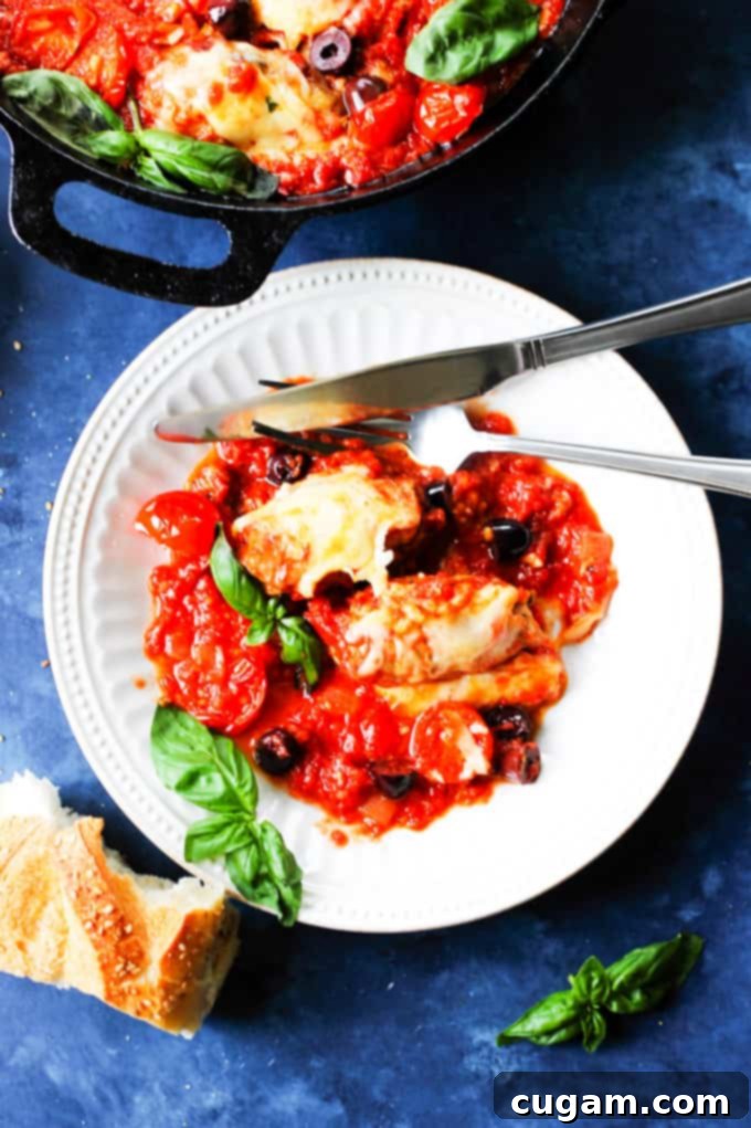 Veal Rollatini with Basil, Roasted Peppers, Cheese in Tomato Olive Sauce