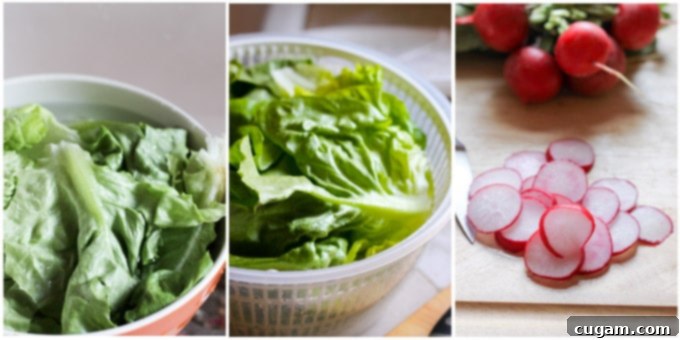 Process shots of preparing french salad, focusing on cleaning and drying lettuce.