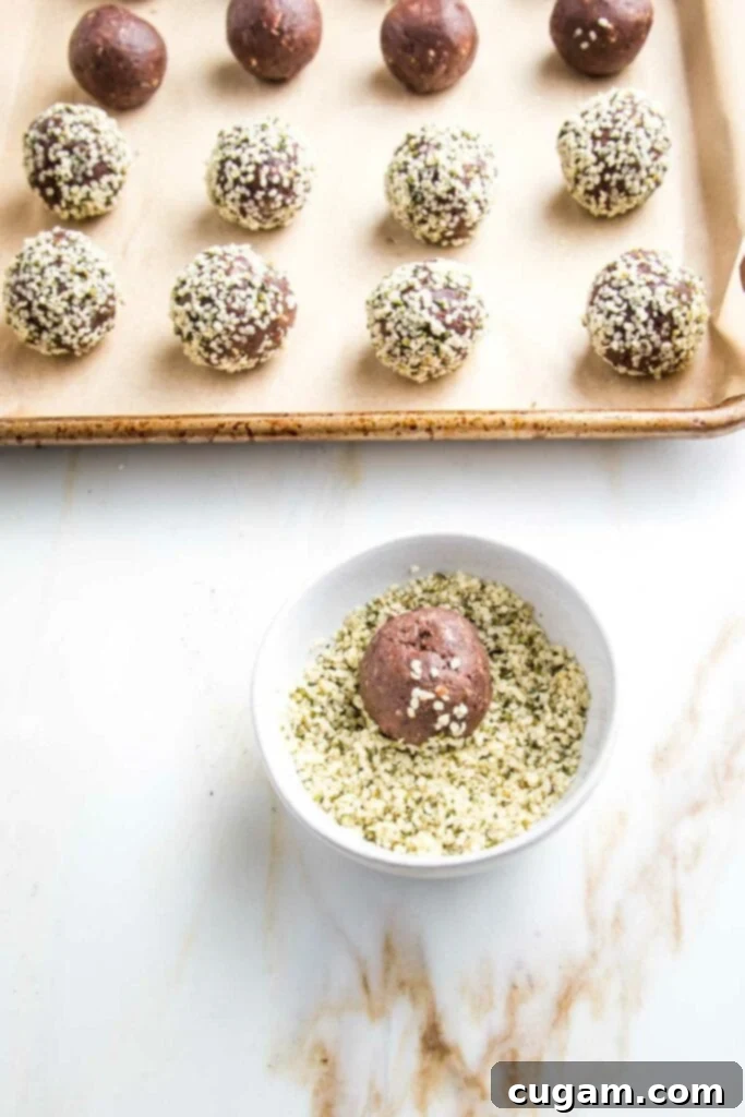 Chocolate cookie dough balls rolled in hemp seeds, arranged in a bowl.