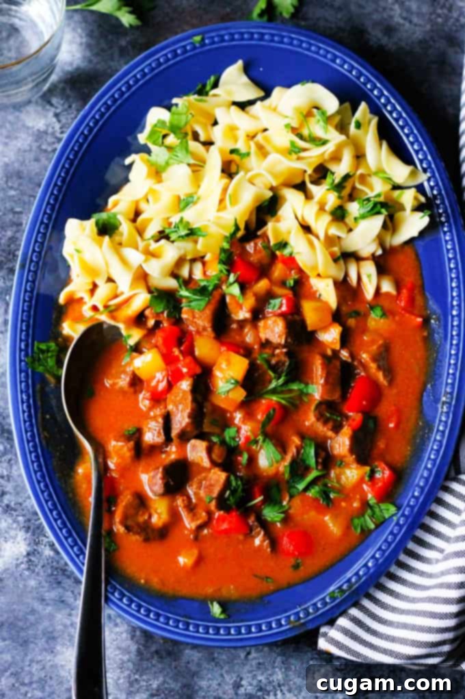 Hungarian Goulash on a blue plate with noodles and spoon