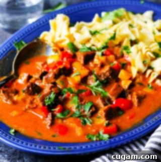 Easy Hungarian Goulash from Instant Pot on a plate