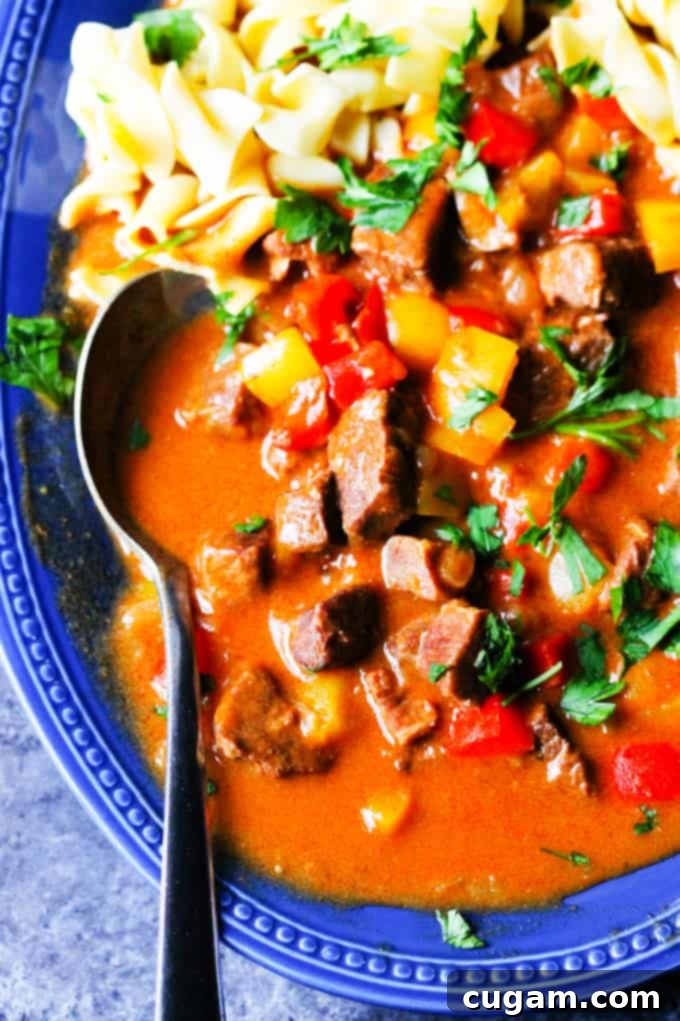 Homemade Goulash with Noodles on a serving plate with spoon