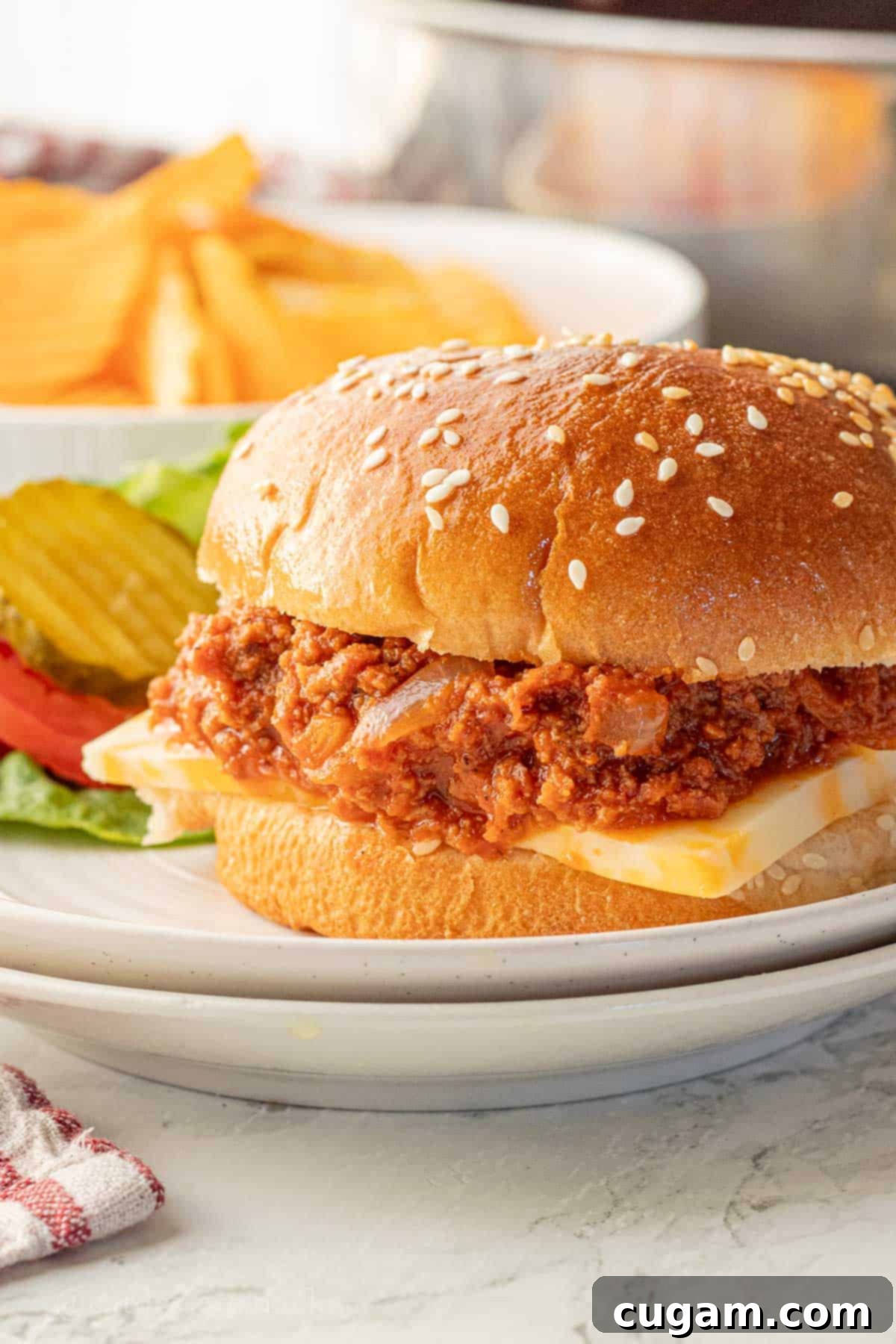 Cooked ground turkey sloppy joe sauce on hamburger bun.
