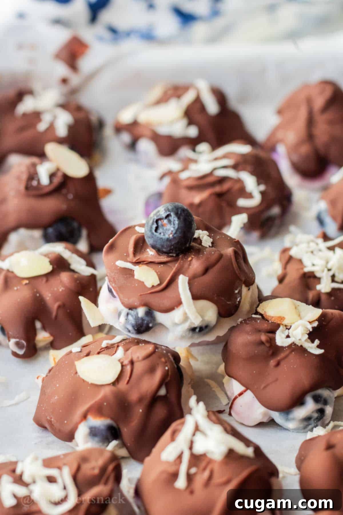 Hardened chocolate on blueberry yogurt clusters with blueberry on top.
