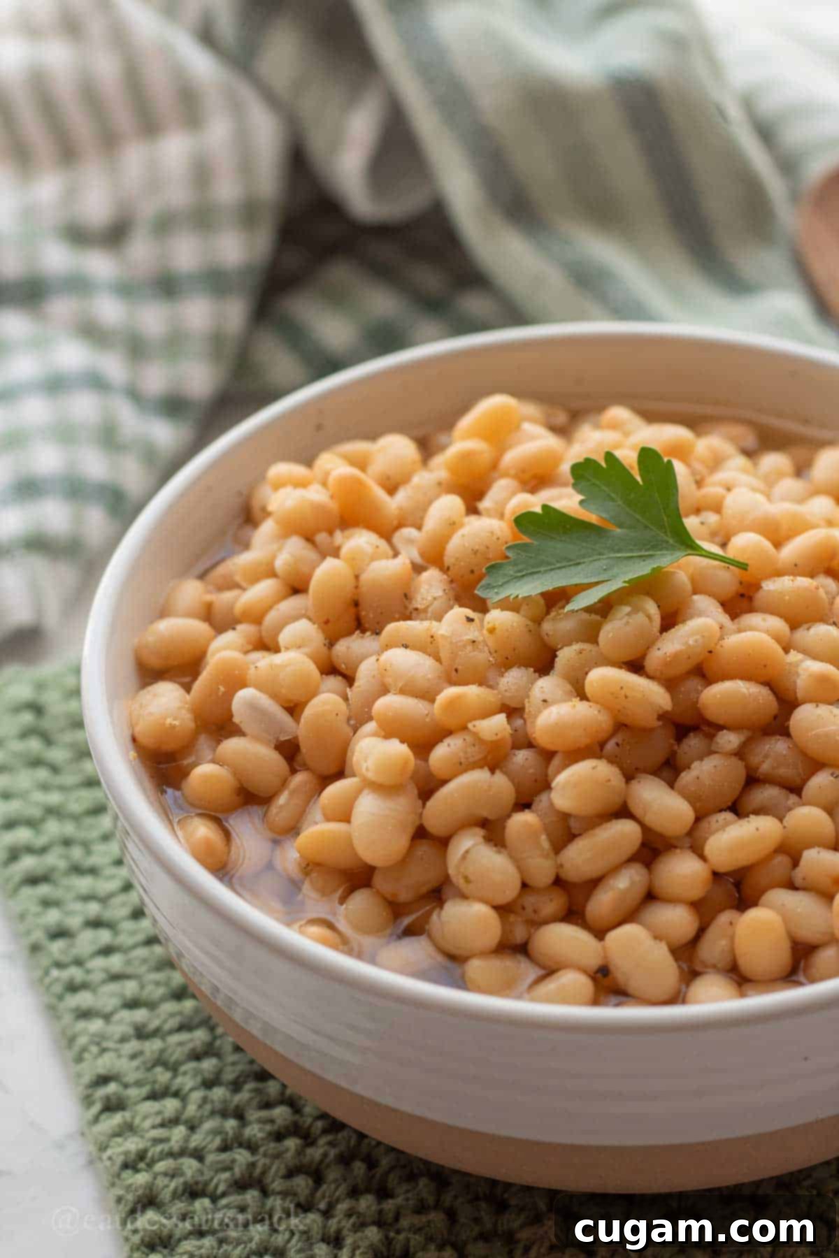 Cooked navy beans in bowl with parsley on top.