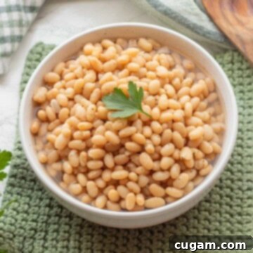 Cooked navy beans in bowl with parsley on top.