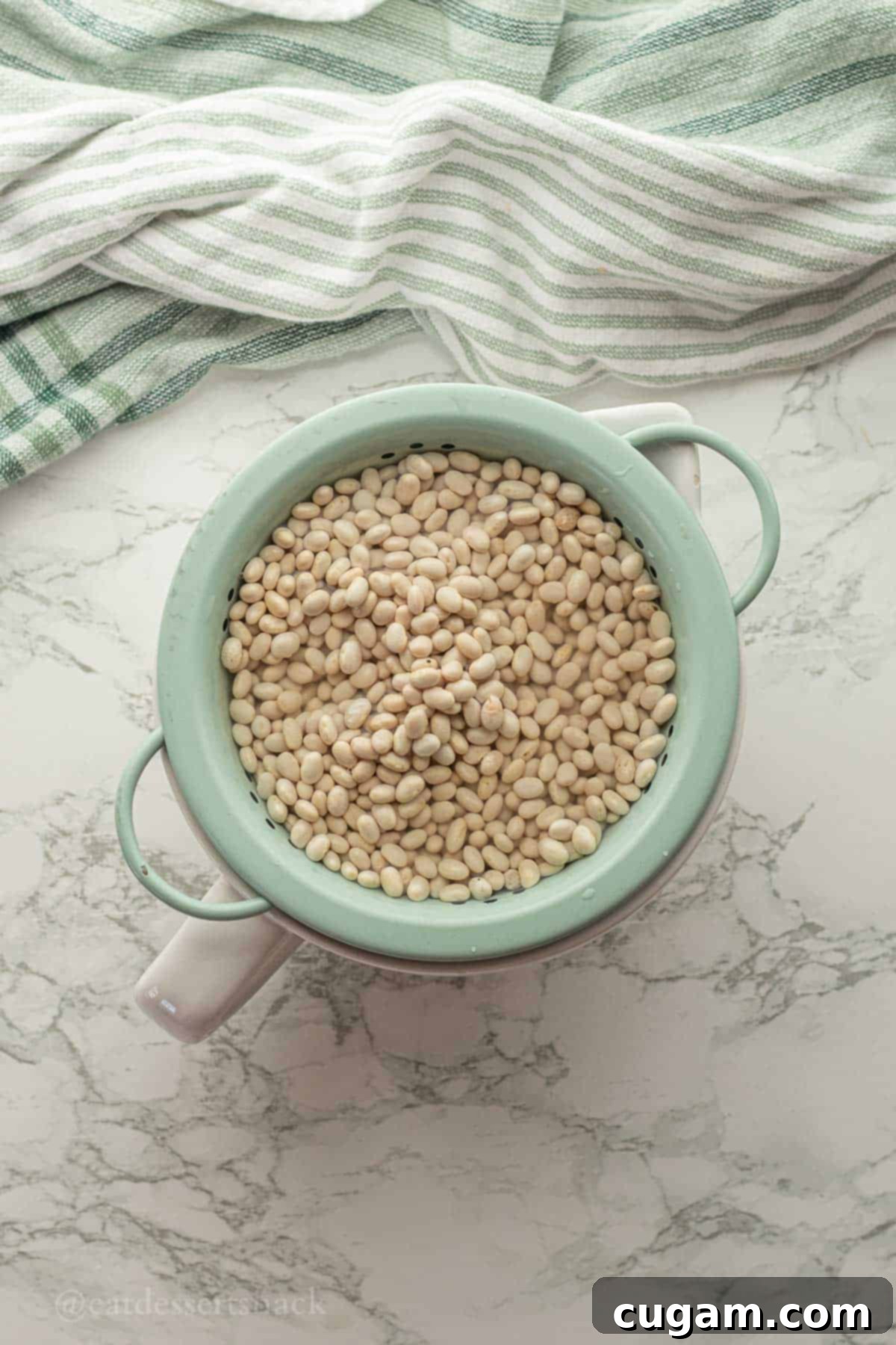 Uncooked navy beans in colander with water.