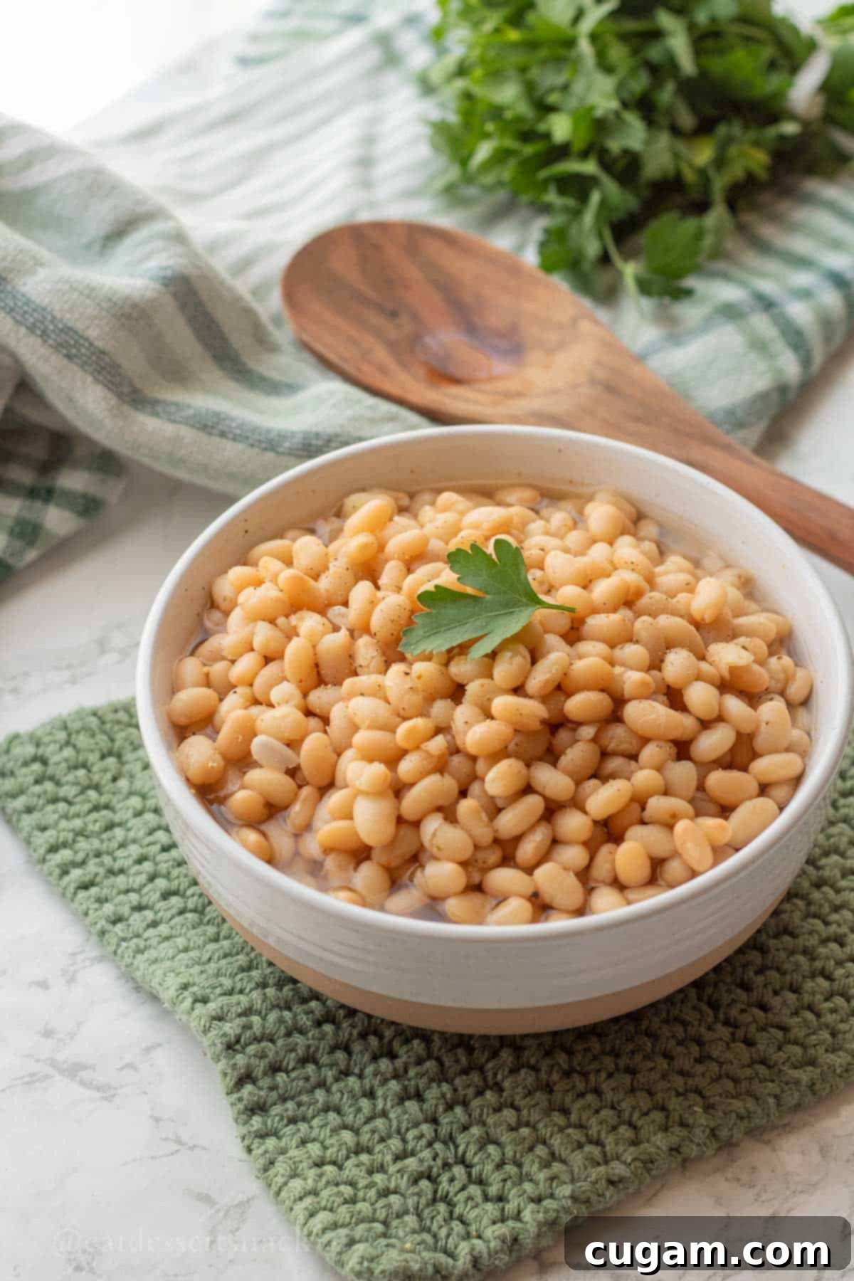 Cooked navy beans in bowl with parsley on top with wooden spoon.