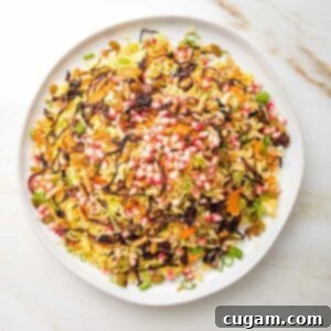 Jeweled rice with colorful pomegranate, caramelized onions, carrots, nuts and scallions.