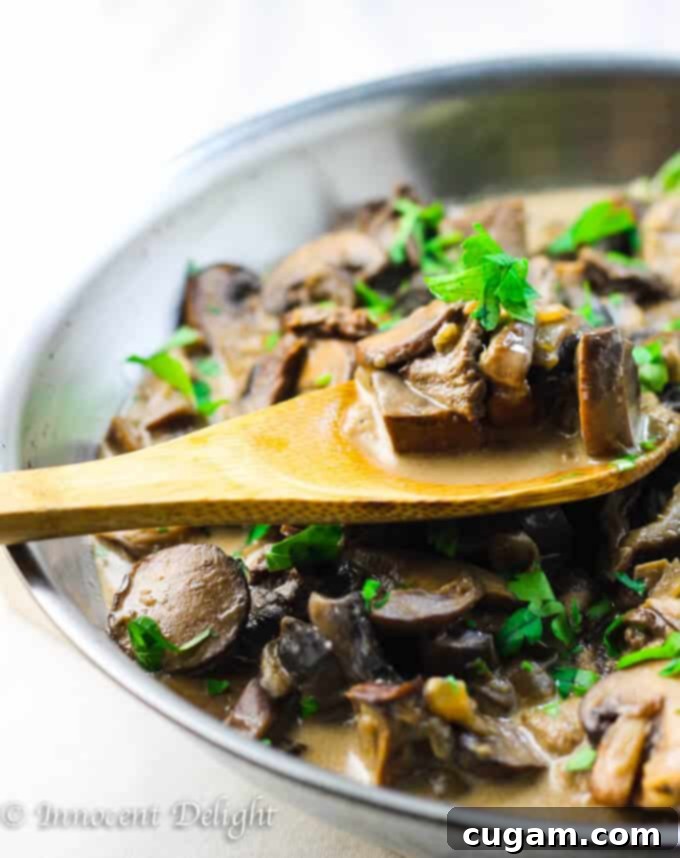 Rich Creamy Mushroom Sauce in a rustic skillet, ready to serve, with a wooden spoon for stirring. This sauce combines wild porcini and fresh mushrooms in a wine and cream base.