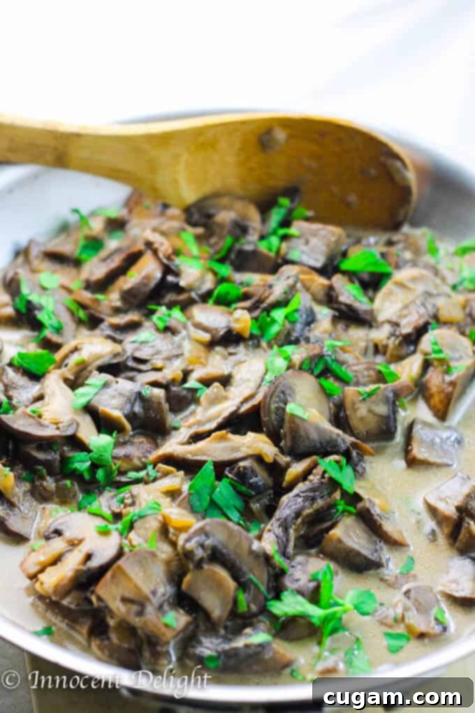 Sizzling Creamy Mushroom Sauce in a large skillet with a variety of wild and fresh mushrooms, garnished with fresh herbs, and a wooden spoon resting in the pan.