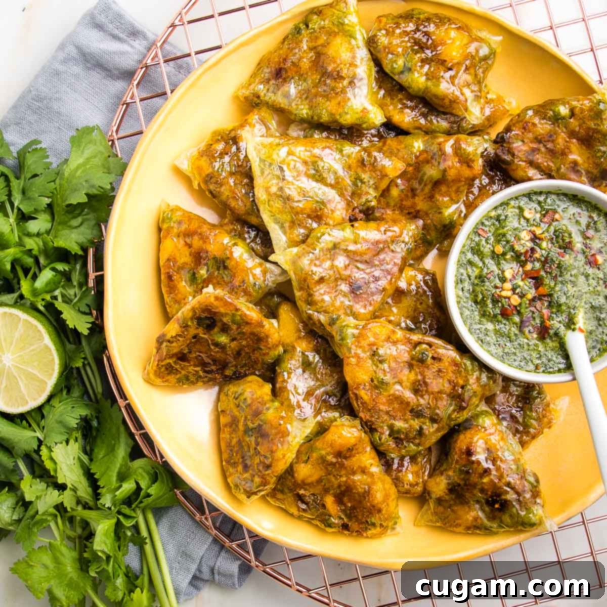 Baked samosas in small triangles on a yellow dish with a small white bowl filled with green chutney and a bunch of cilantro on the side.