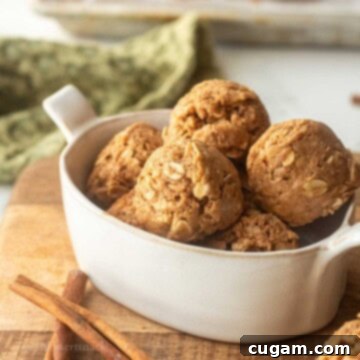 Rolled snickerdoodle protein balls in dish on cutting board.
