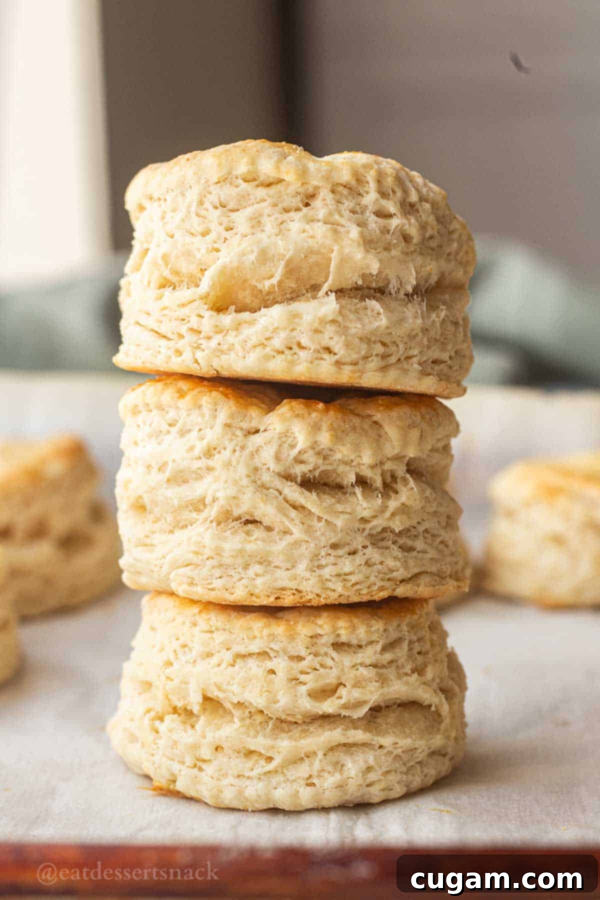 Flaky Sourdough Discard Biscuits 2 Stack of baked sourdough biscuits.