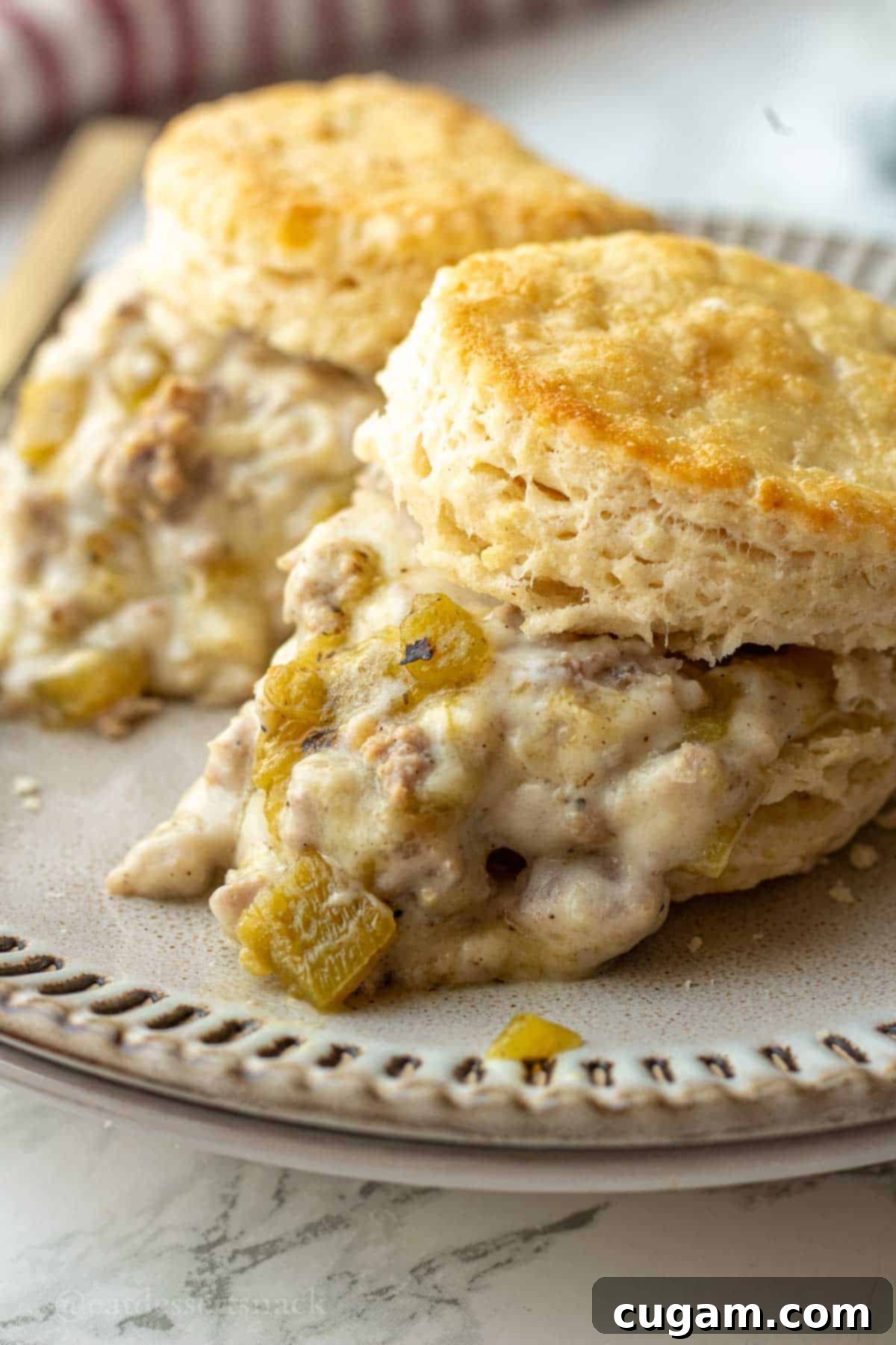 New Mexico Green Chile Sauce 2 Cooked biscuit and green chili gravy on a plate.