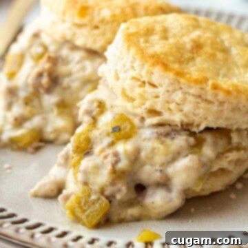 New Mexico Green Chile Sauce 10 Cooked biscuit and green chili gravy on a plate.