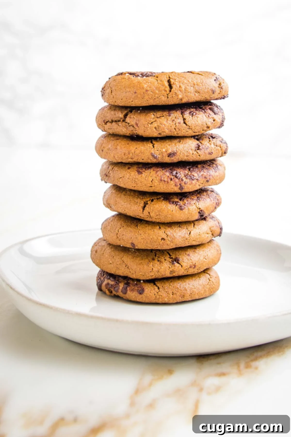 Irresistibly Chewy Vegan Ginger Gems 2 Tall stack of crinkled gingerbread cookies on a rimmed white plate.