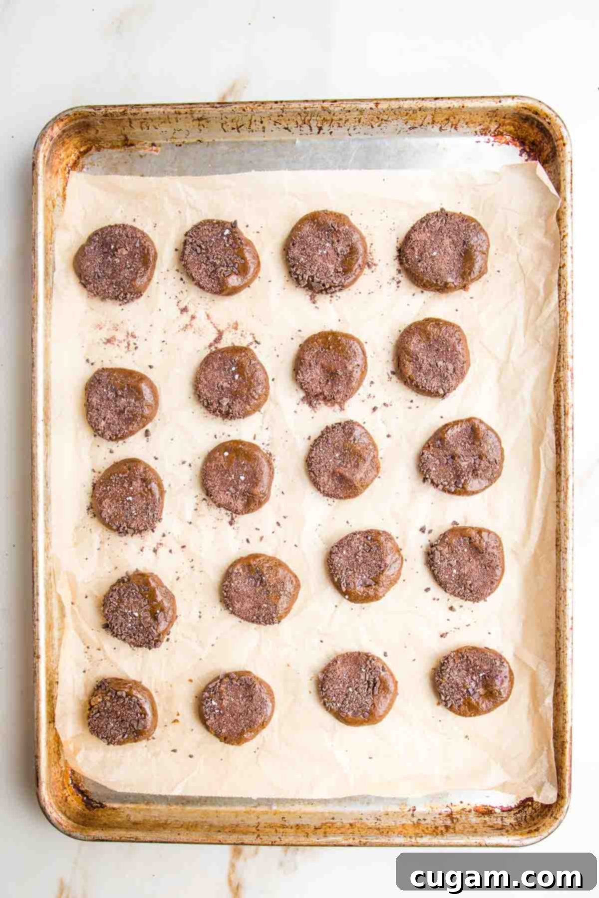 Irresistibly Chewy Vegan Ginger Gems 11 Large rimmed baking tray, lined with parchment paper, with rows of gingerbread cookies, sprinkled with chocolate and lined up, ready to bake.