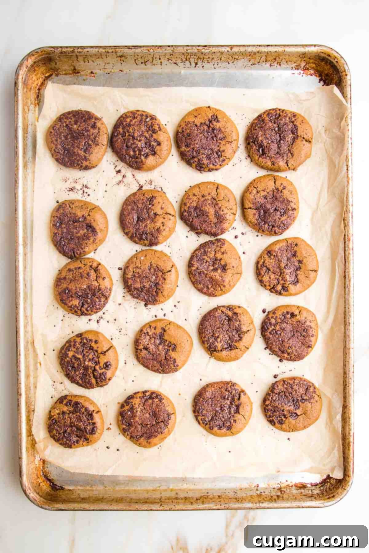 Irresistibly Chewy Vegan Ginger Gems 12 Tray of gingerbread cookies sprinkled with chocolate.