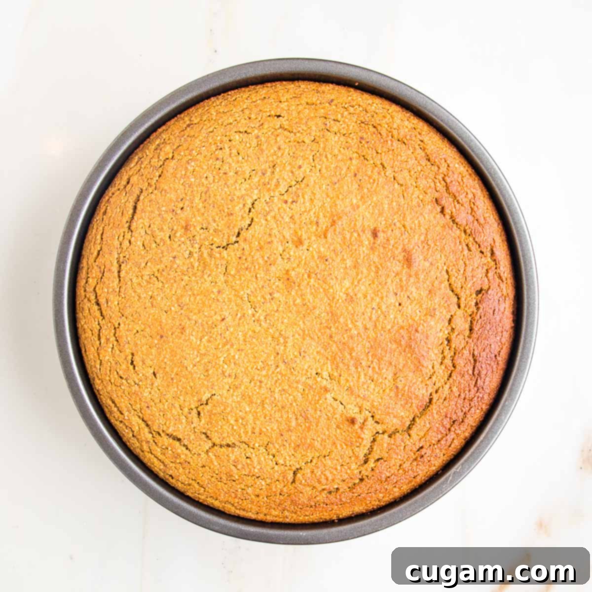 A golden-brown pumpkin cake fresh from the oven, still in its round pan, showing a few natural cracks on its perfectly baked surface.