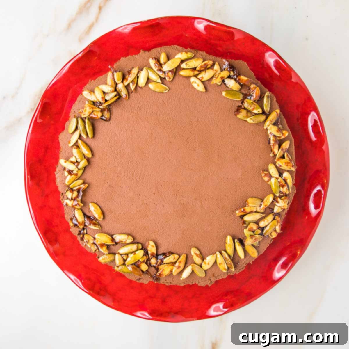 A gloriously frosted chocolate pumpkin cake, artfully decorated with candied pumpkin seeds arranged in a festive wreath pattern around the perimeter.