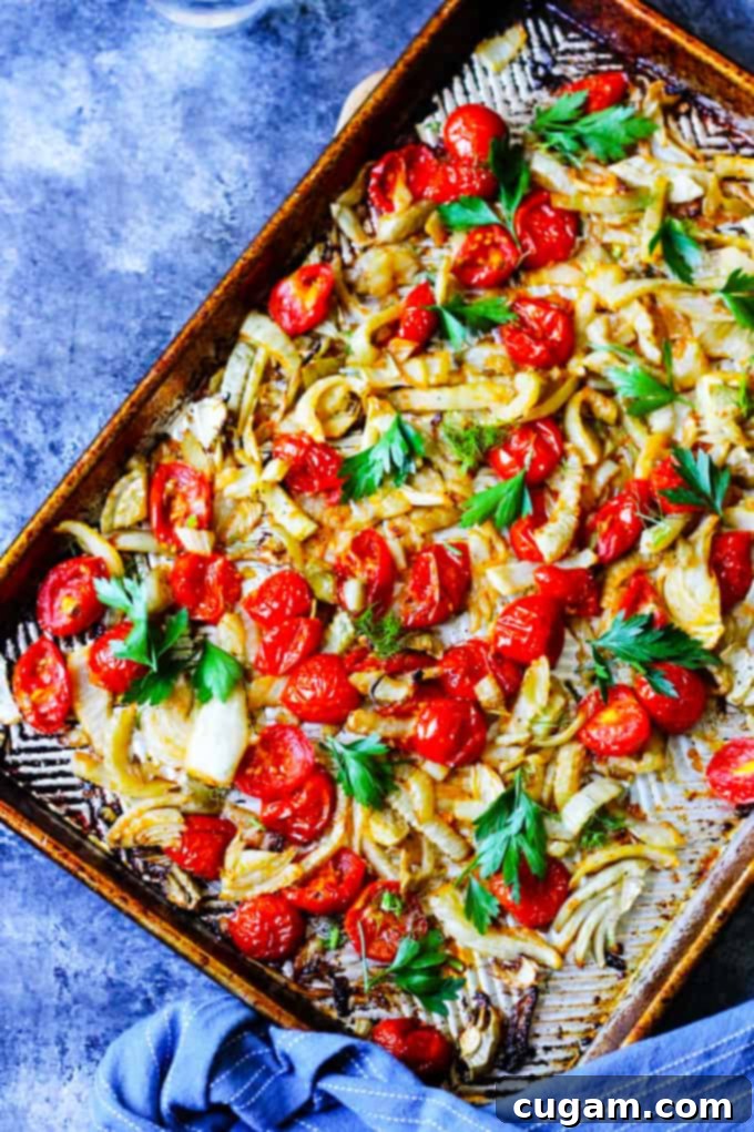Roasted fennel and cherry tomatoes on a baking sheet with blue background