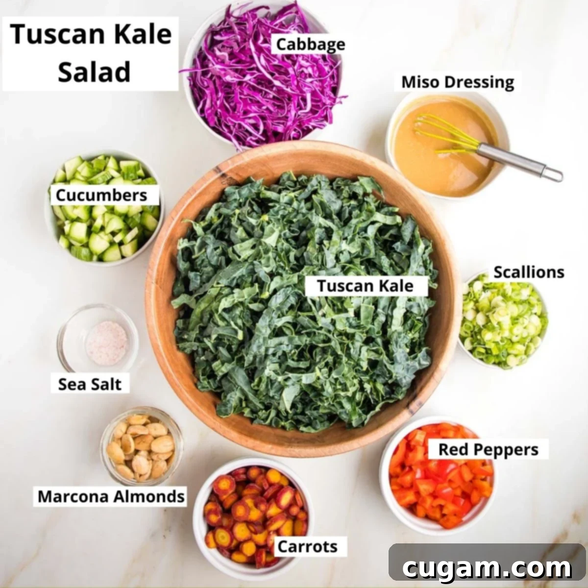 Labeled ingredients for Tuscan Kale Salad: fresh Tuscan kale, vibrant red cabbage, a small bowl of miso dressing, crisp scallions, bright red bell peppers, colorful carrots, crunchy Marcona almonds, a pinch of sea salt, and refreshing cucumber slices.