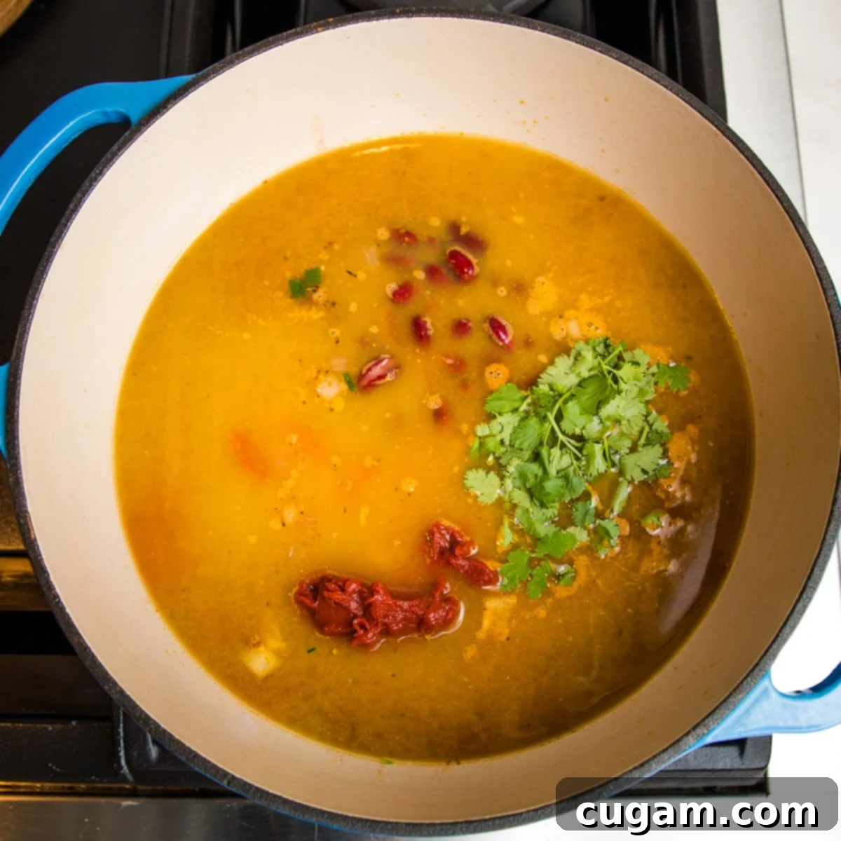 dutch oven filled with broth, tomato paste, beans, fresh cilantro.