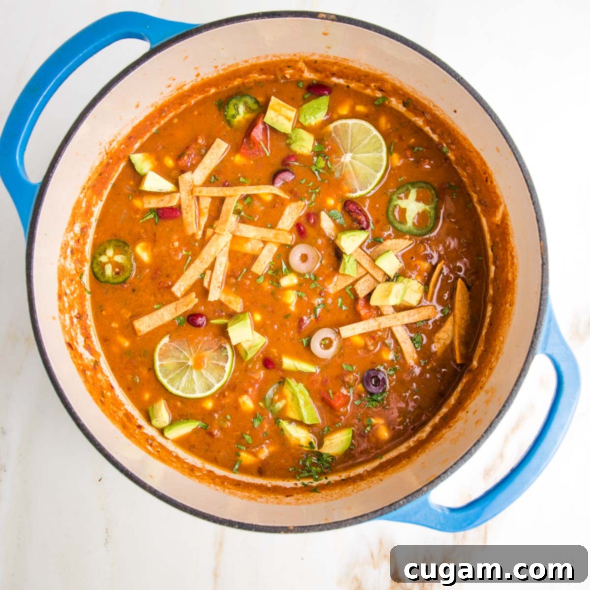 Bright and vibrant vegan tortilla soup. Dutch oven is filled with tomato based soup and decorated with chunks of avocado, lime wedges, sliced jalapenos and olives, plus baked tortilla strips.