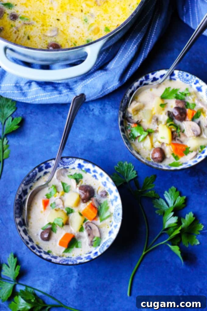 Overhead shot of two bowls of Polish mushroom soup, one chunky and one partially blended, with a large pot in the background.