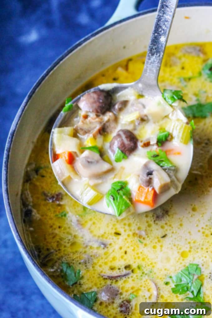 A large pot of rich Polish mushroom soup with a ladle, ready to be served.