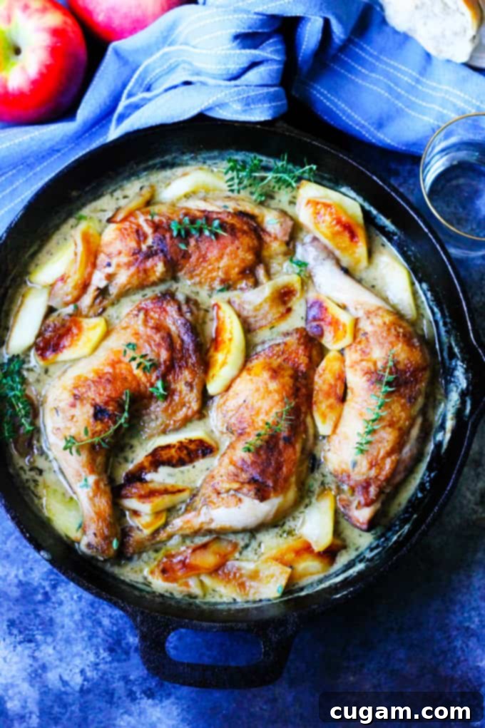 Chicken Normandy braised in apple cider and cream in a skillet with apples