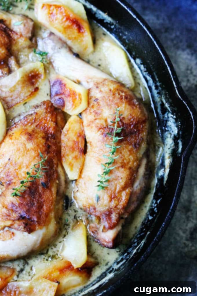Close up shot of chicken normandy in a skillet
