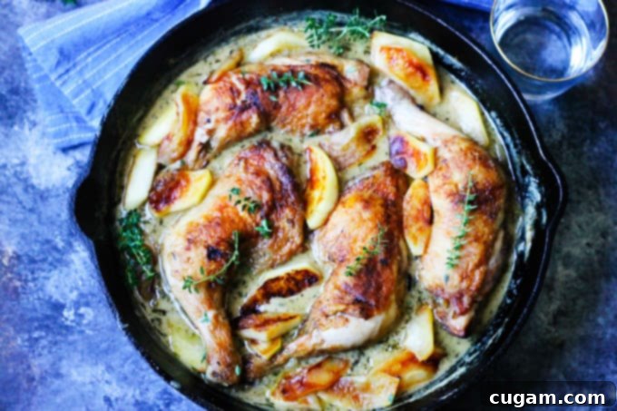 Chicken Normandy in a skillet with blue background