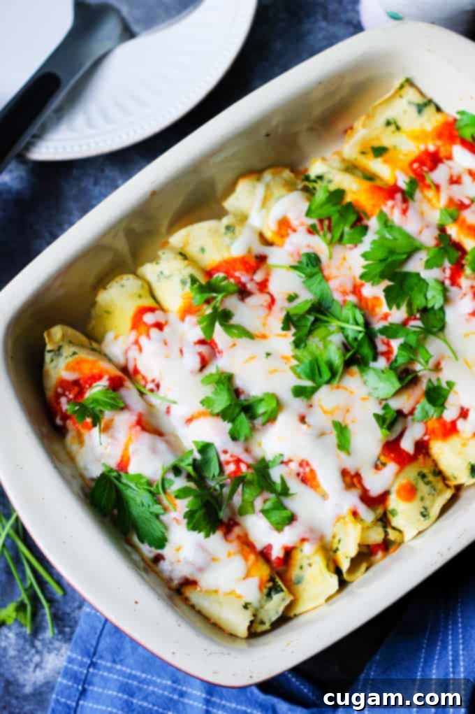 Chicken Savory Crepes baked in a dish with melted cheese and fresh parsley garnish