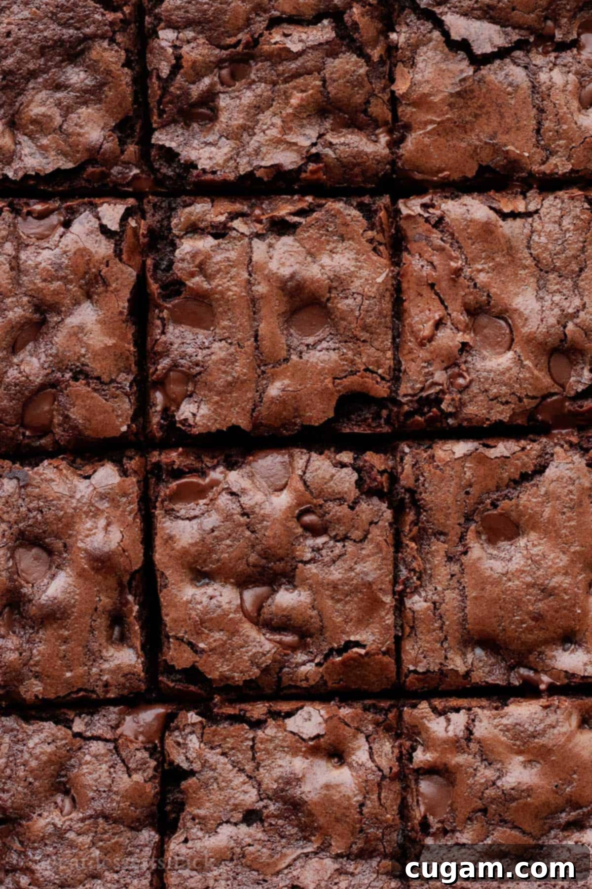 Freshly baked sourdough discard brownies, perfectly sliced into uniform squares, arranged beautifully on a cooling rack.