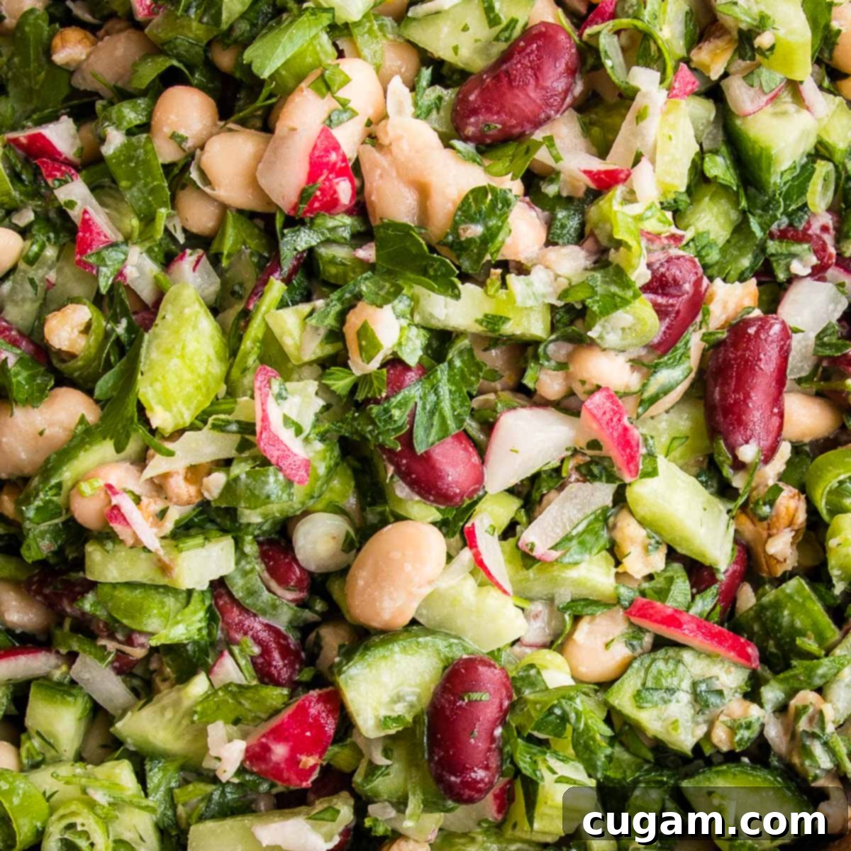 close up of red kidney bean and white bean salad with chopped fresh veggies and herbs and a light creamy lemon dressing. 
