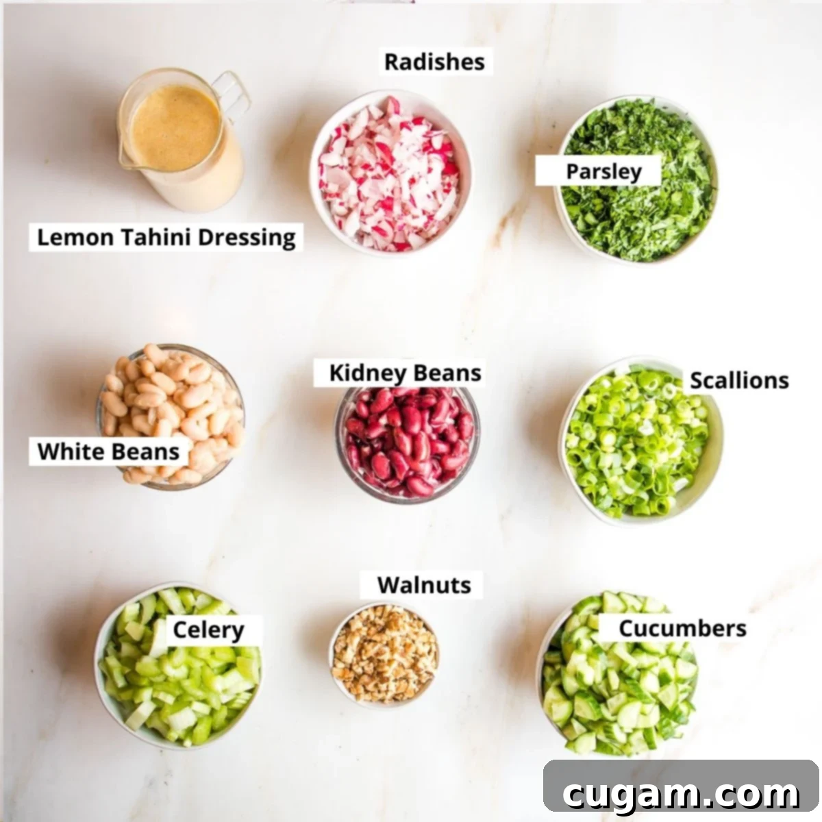 Labeled ingredients: tahini dressing, radishes, parsley, white beans, kidney beans, scallions, celery, walnuts and cucumbers.