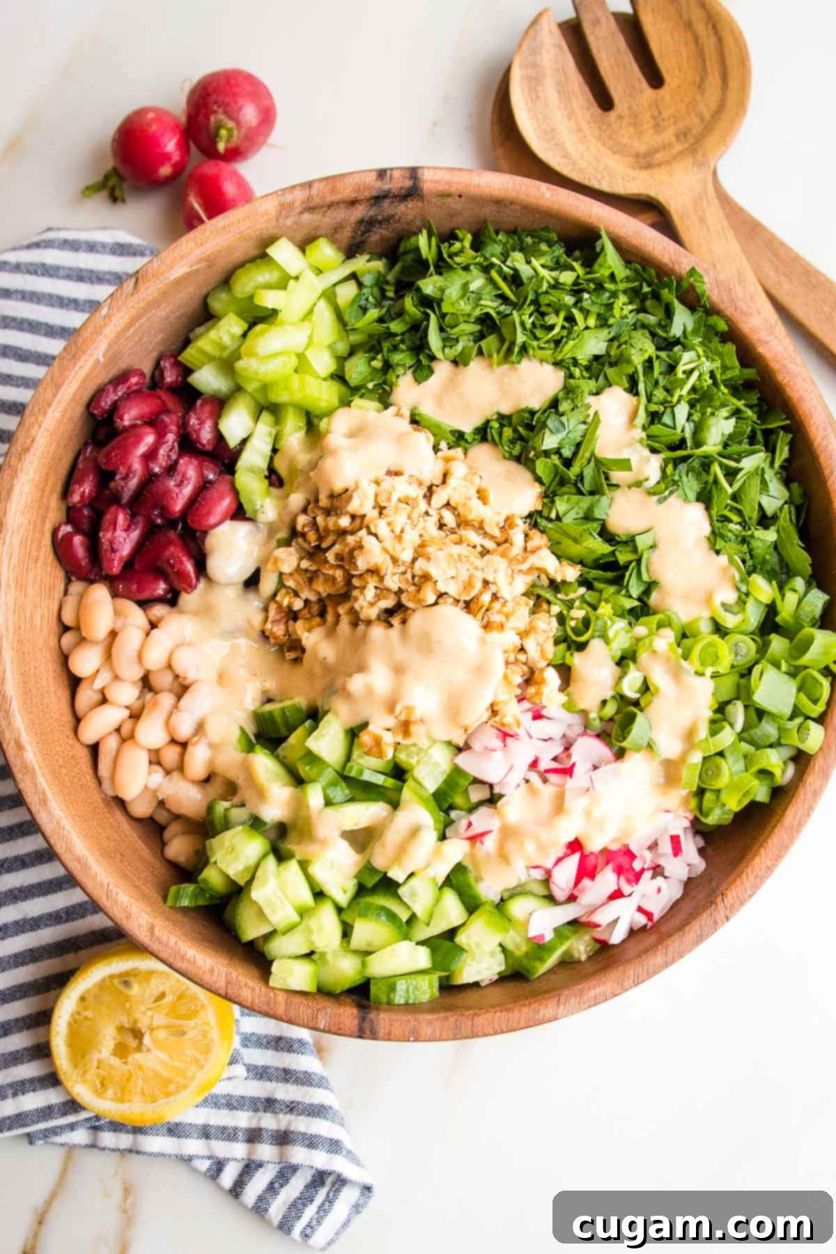 Wooden bowl with sections of chopped veggies and a creamy dressing in the center: there's kidney beans, white beans, celery, cucumbers, radishes, scallions, chopped parsley and walnuts.