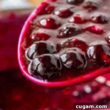 Cooked blueberry pie filling on spoon.