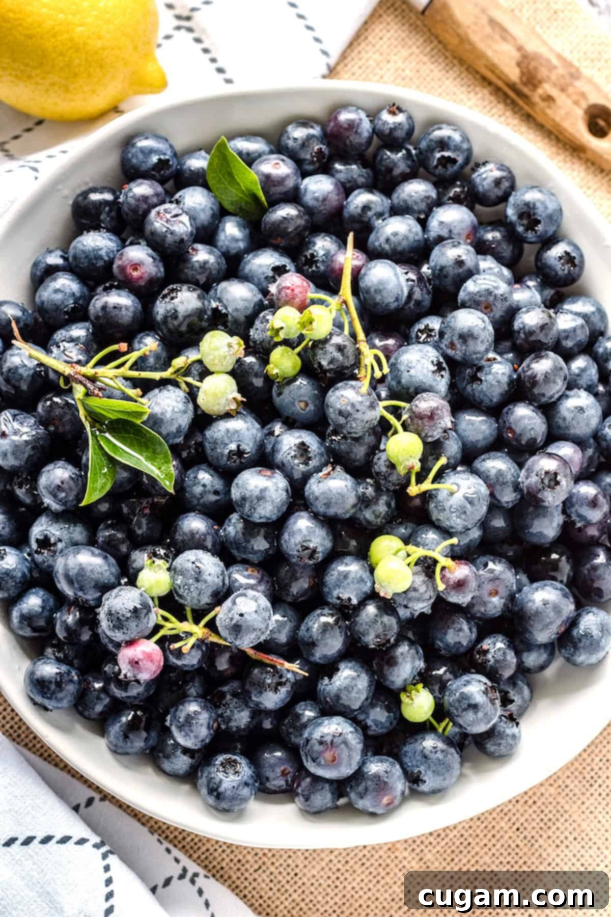 Raw bluberries in white bowl with dishtowel.