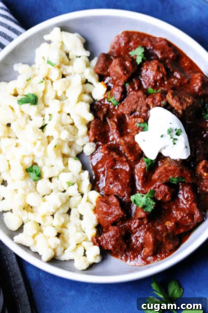 Hungarian stew with Nokedli on a plate, ready to be served