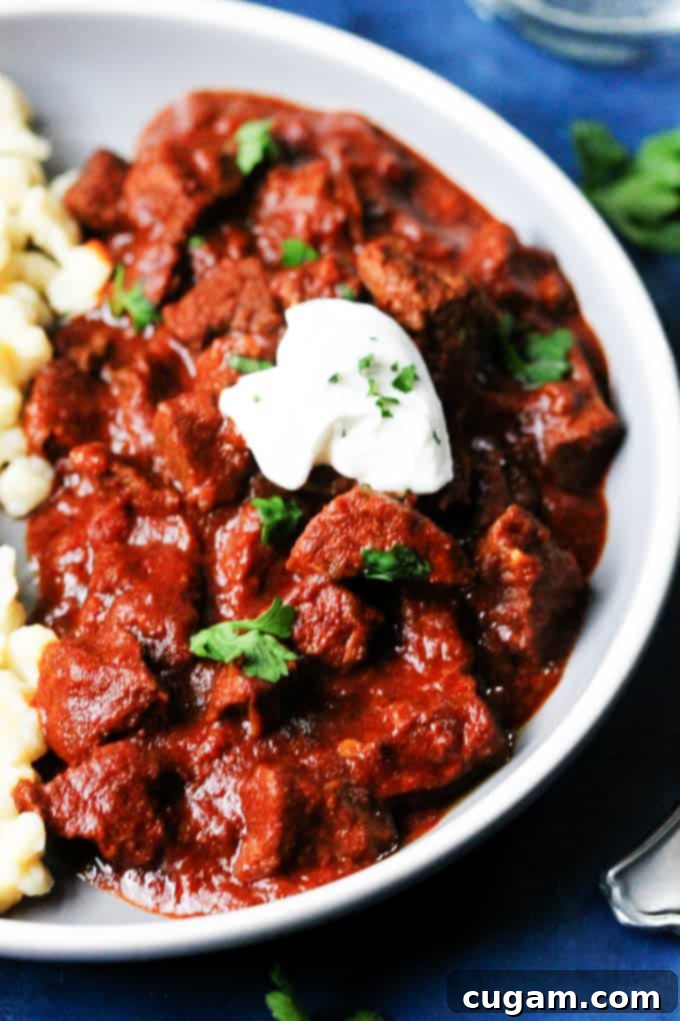 Hungarian stew on a plate with egg noodles and a dollop of sour cream