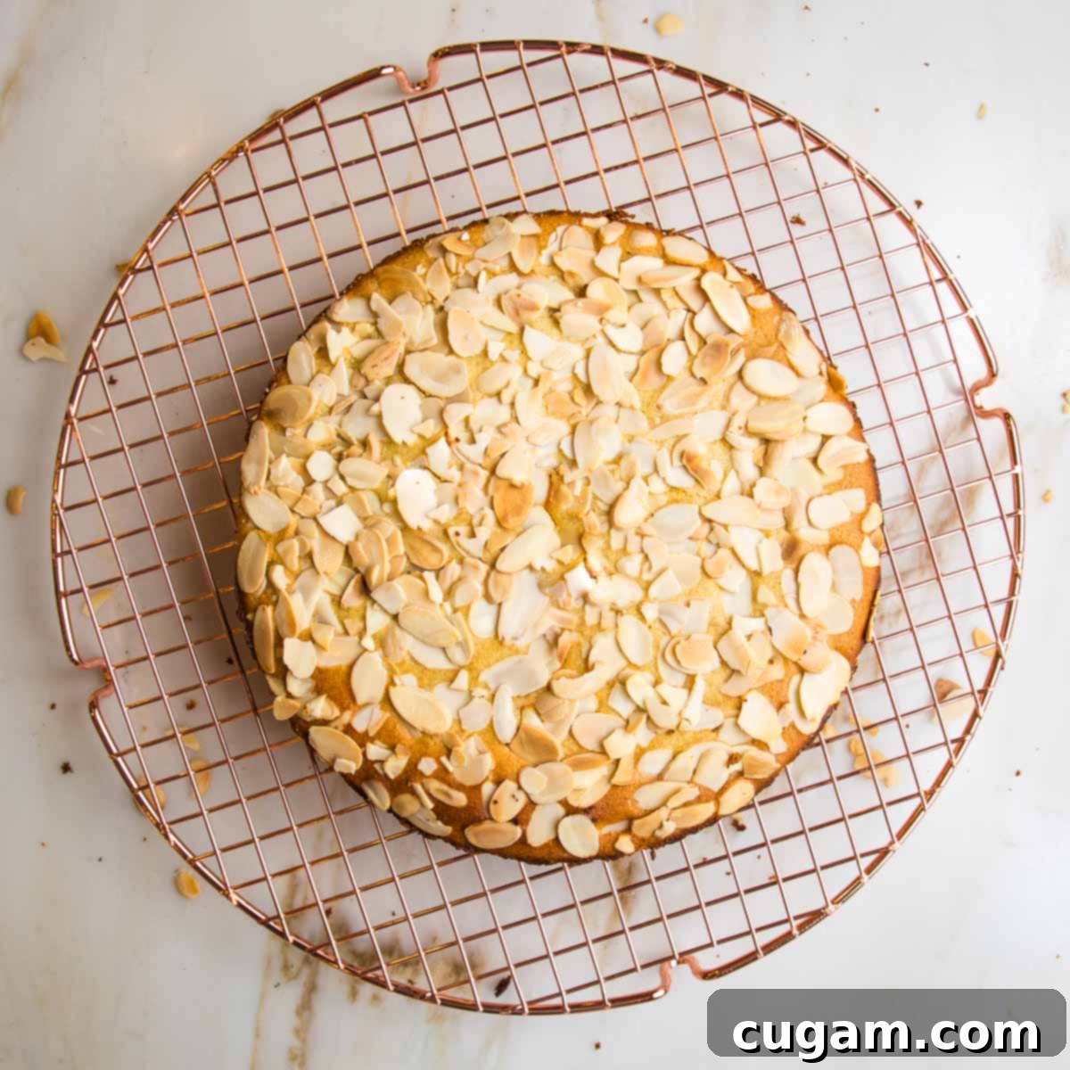 Baked lemon cake cooling in a pan.