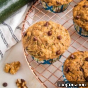 Vegan Zucchini Muffins 17 Zucchini muffin with chocolate chips, cooling on a wire rack. There is a fresh zucchini on a tea towel in the background along with a couple walnuts and a chocolate chip, invitingly presented.