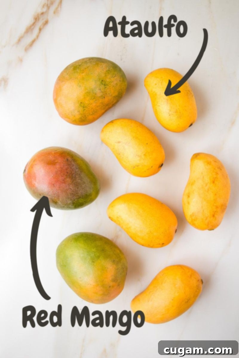 8 mangos on a white counter. 5 yellow Ataulfo, labeled with an arrow and 3 red mangos.