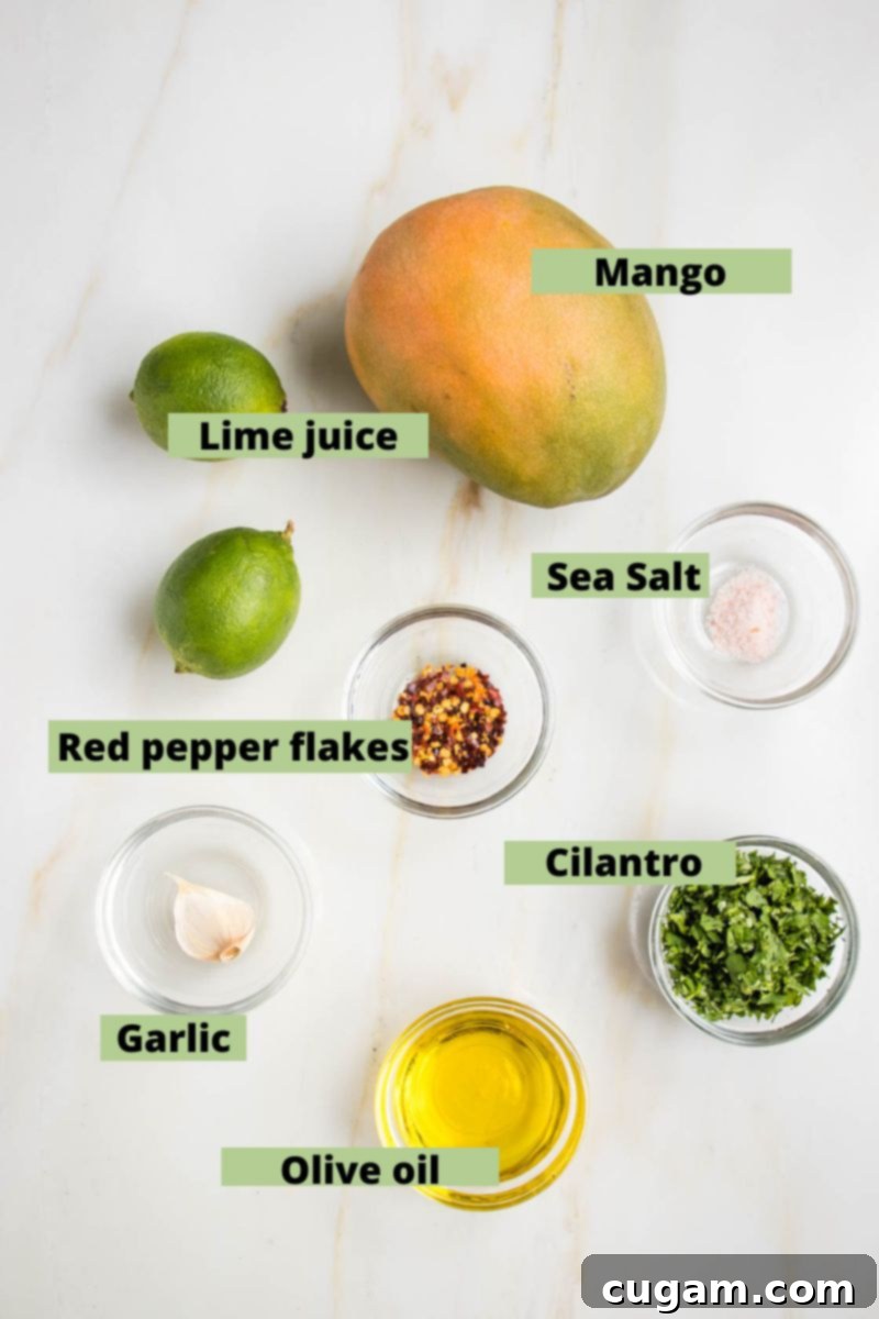 Labeled ingredients: mango, two limes, red pepper flakes, sea salt, garlic, olive oil, chopped cilantro