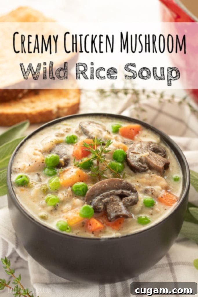 A black bowl filled with steaming creamy chicken mushroom wild rice soup, garnished with fresh thyme. The soup is rich with chicken pieces, wild rice, mushrooms, and colorful vegetables.