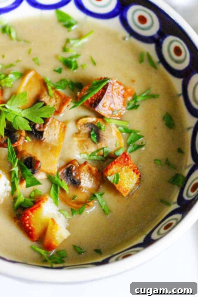 Mushroom Soup with garnishes in a bowl